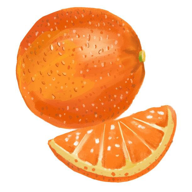 橙色。水彩手绘插图。白色背景隔离图片下载