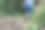 拉丁农妇，穿着黑靴子走在泥泞的路上。在哥伦比亚潮湿的丛林中，一个女孩穿过一条艰难的小路回家。一个女人独自在森林里迷路了。图片下载