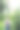 美丽的拉丁女孩在哥伦比亚丛林中探索，徒步在被绿色自然包围的森林深处。阳光从树枝间照射进来。用于复制文本的空间图片下载