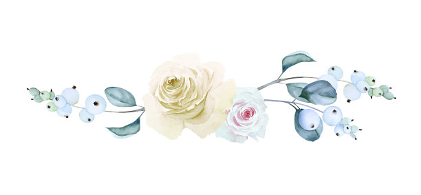 美丽的花边界与白色和粉红色的玫瑰和雪莓枝叶孤立在白色背景。手画水彩。图片下载