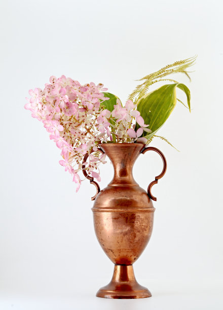 绣球花和绿叶图片下载