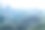 滥砍滥伐的环境问题，热带雨林被毁用于油棕种植园。山林林间的树木砍伐了一片森林。图片下载