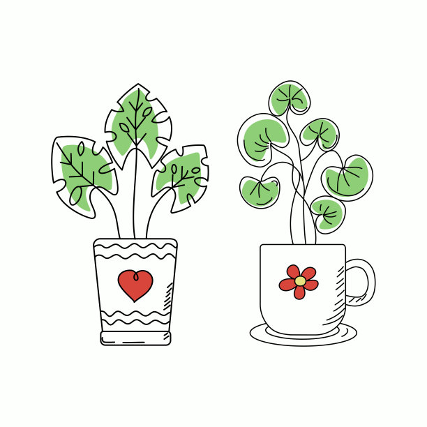 盆栽植物。图片下载