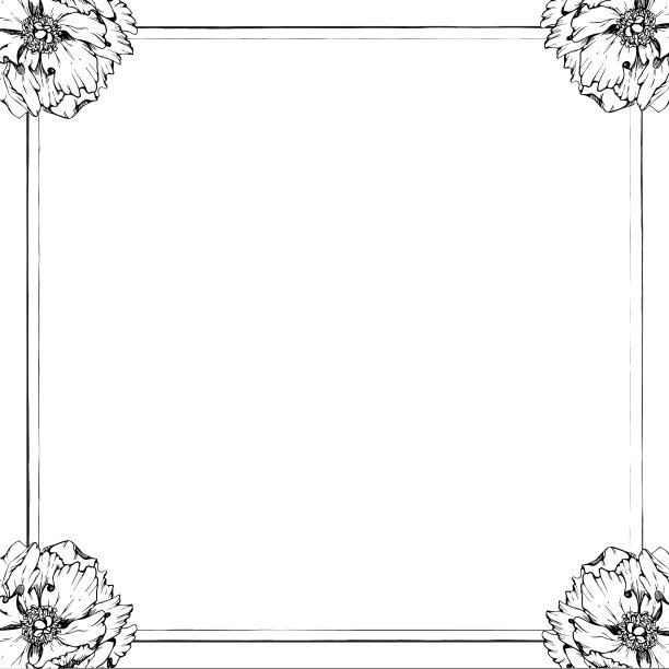 手绘矢量方框花环安排牡丹花，芽和叶。孤立的白色背景。设计邀请，婚礼或贺卡，墙纸，印刷，纺织品图片下载