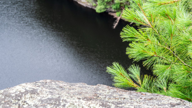 阿尔冈昆省立公园的巴伦河图片下载