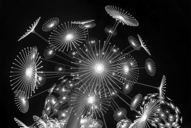 抽象霓虹发光的花朵。亮闪闪的背景。迷幻的背景图片下载