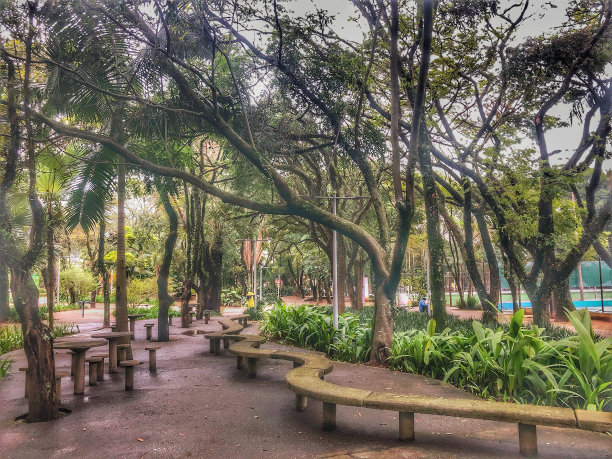 在公园的树下休息的长凳图片下载