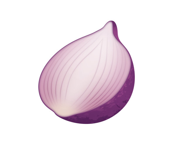 洋葱，孤立在白色背景图片下载