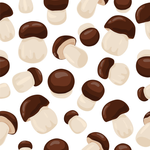 牛肝菌的矢量图图片下载