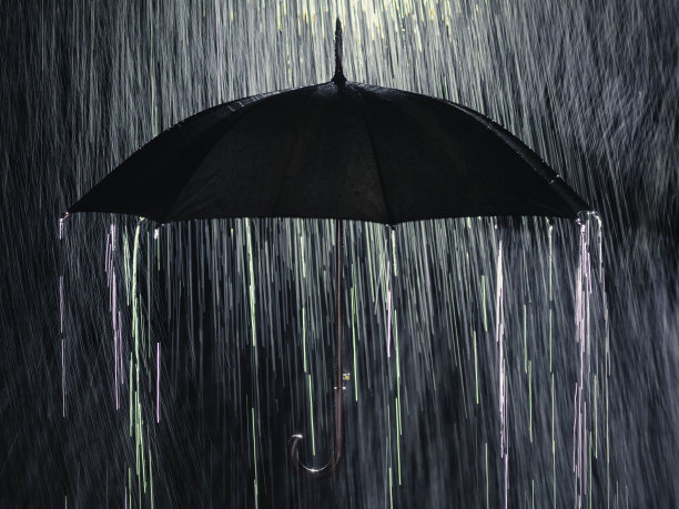 雨，公园里的大雨，森林里的雨，树林里的雨，森林里的大雨图片下载