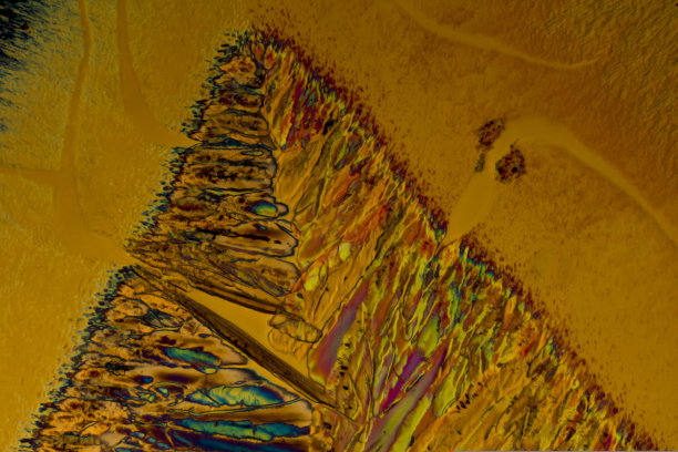 这是一种化学物质水杨酸锶在偏振光显微镜下形成的晶体。图片下载