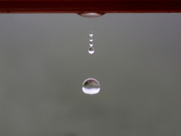 雨，公园里的大雨，森林里的雨，树林里的雨，森林里的大雨图片下载