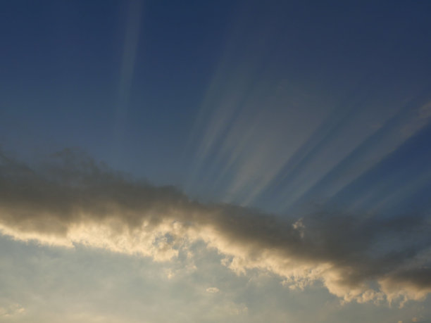 雨，公园里的大雨，森林里的雨，树林里的雨，森林里的大雨图片下载