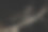 照片的真实蜘蛛网在黑暗的背景，万圣节的概念，文字的地方，孤立图片下载