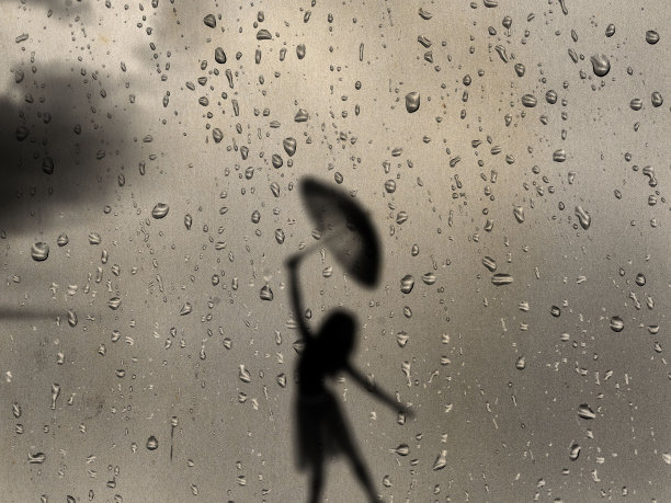 雨，公园里的大雨，森林里的雨，树林里的雨，森林里的大雨图片下载