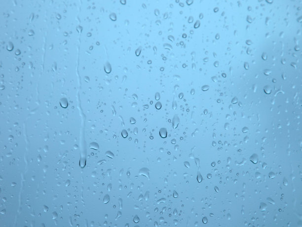 雨，公园里的大雨，森林里的雨，树林里的雨，森林里的大雨图片下载