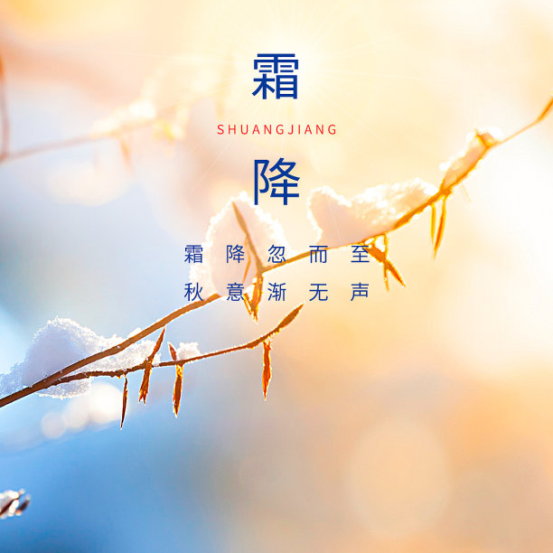 方形海报图片下载