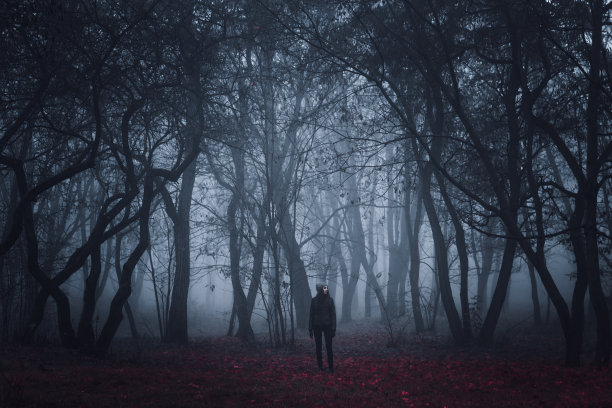 女孩走在神秘森林的路上。背景壁纸。奇怪的森林。神秘的气氛。黑暗可怕的道路。超自然的另一个世界。雾中的幽灵。的追求。可怕的梦。图片下载