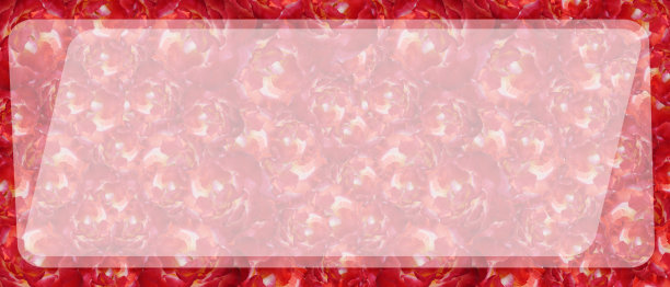 白色矩形在中间，在红玫瑰花背景，自然，装饰，横幅，复古，复制空间图片下载