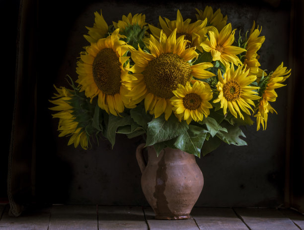 美丽的黄色向日葵静物花束在陶罐陶瓷乡村风格油蜂蜜深色照片背景木桌Vintage。复古。秋天的花。图片下载