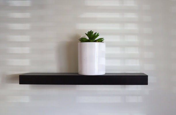 木架上的多肉植物图片下载