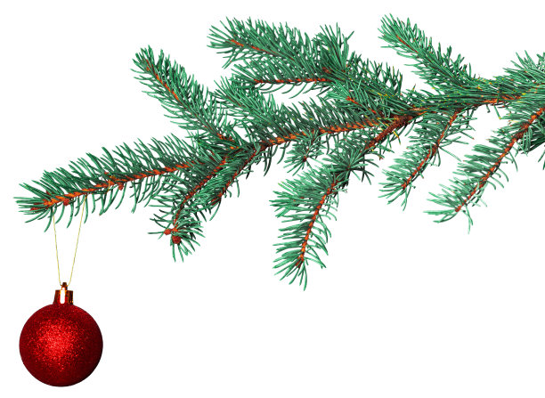 圣诞球在冷杉枝孤立的白色背景图片下载