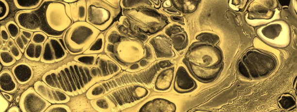 抽象流体艺术背景黑色和金色。液体丙烯油画在帆布与黄色渐变。图片下载