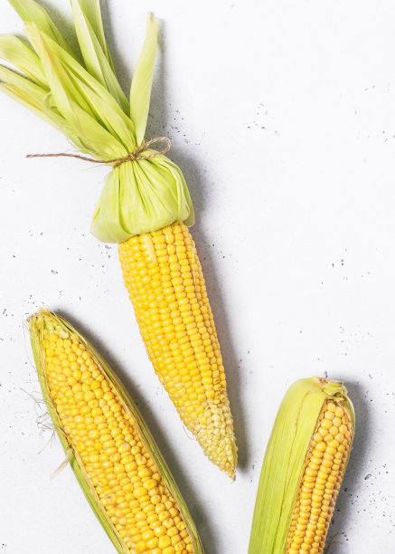 有机超甜玉米的俯视图与玉米丝和皮肤在白色背景。图片下载