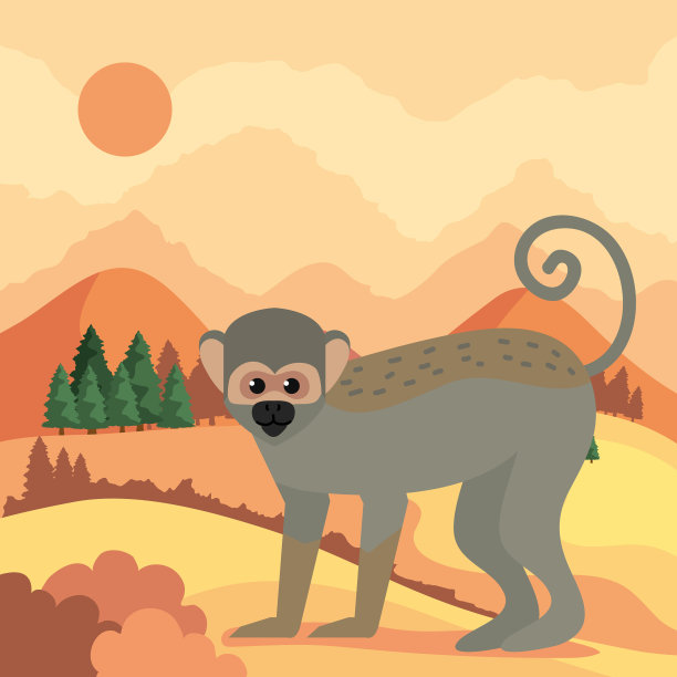 风景中的猴子Titi图片下载