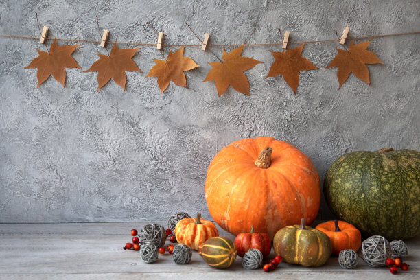 感恩节家庭装饰。有复制空间的轻木桌上摆放着南瓜、浆果和枫叶花环。图片下载