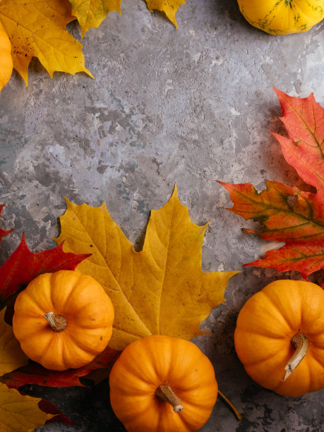 秋季主题的南瓜和树叶模型图片下载