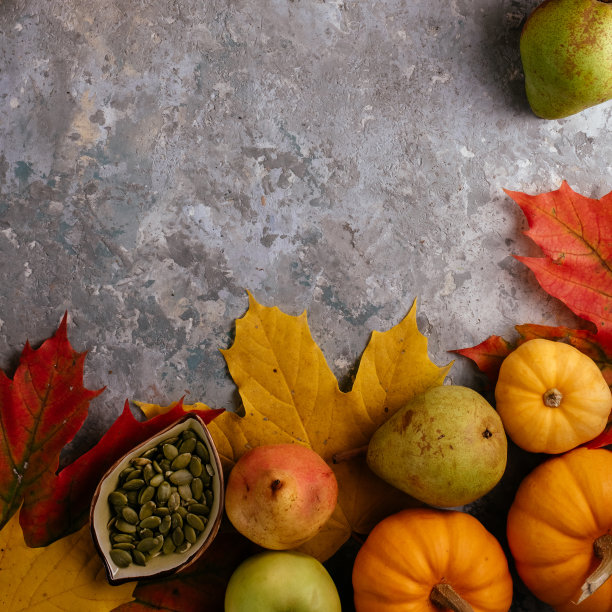 秋季主题的南瓜和树叶模型图片下载