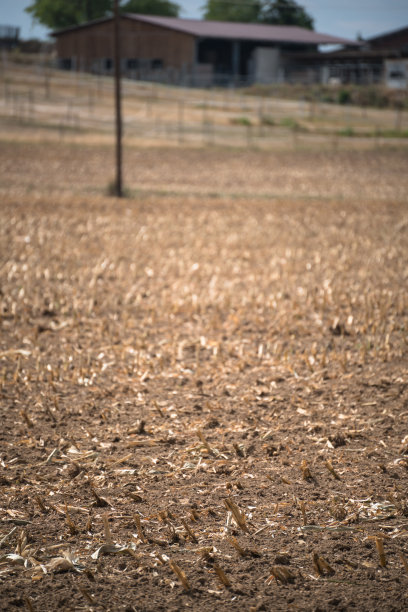 由于夏季旱季的延长而被耕作和干燥的耕地图片下载