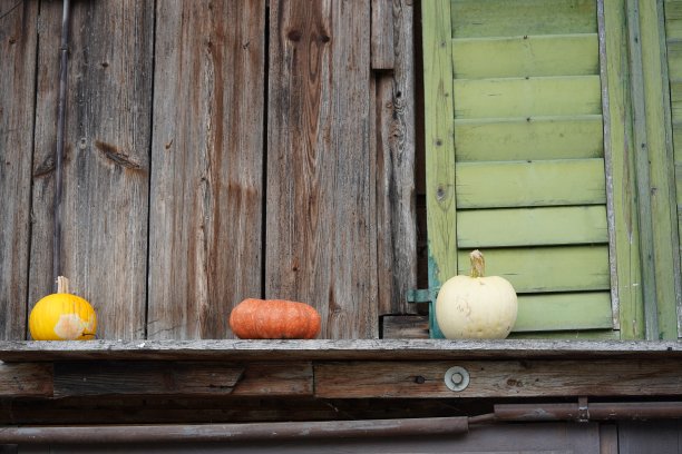南瓜板上的绿色百叶窗。图片下载