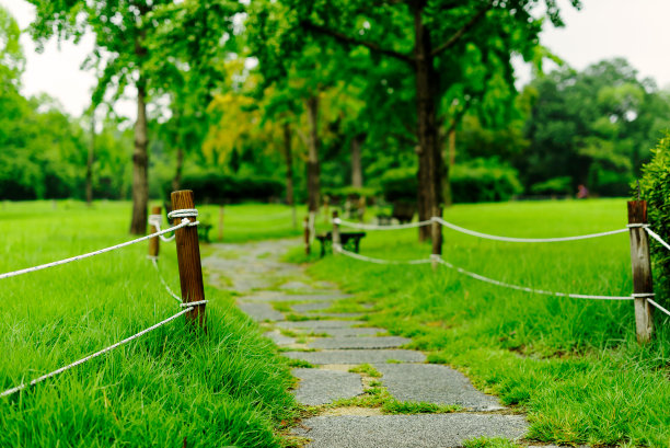 绿色公园里的一条小径图片下载