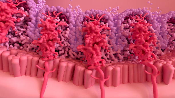 月经周期，月经期出血。月经期:月经期、卵泡期、排卵期、黄体期。图片下载