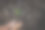 手持环境图标的苗木，以自然为背景，网络连接，科技生态理念。图片下载