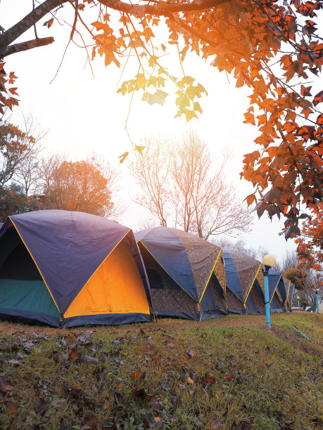 秋冬季节露营用的一排帐篷图片下载