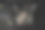 刚煮好的卡布奇诺从咖啡机里倒进玻璃杯里。图片下载