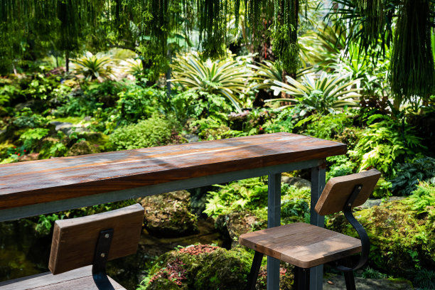 棕榈园的长凳图片下载