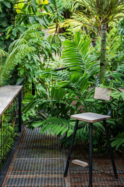 棕榈园的长凳图片下载