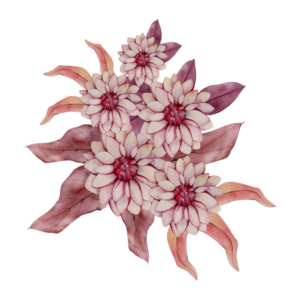水彩秋日花束插图孤立在白色背景。秋天花组成。完美的婚礼邀请，问候，感恩节卡片。红掌，大丽花，菊花，棕榈叶图片下载