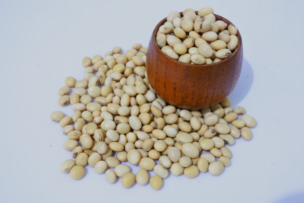 关闭大豆图片下载