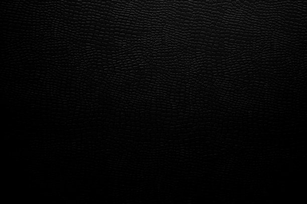 动物皮革背景，特写皮肤纹理图片下载