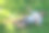 年轻英俊的欧洲运动男子戴着太阳镜在夏季公园的草地上休息，俯瞰。图片下载