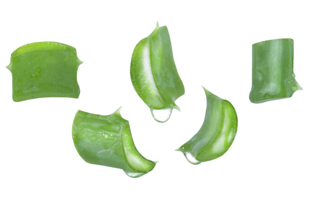 用一滴水悬浮一片芦荟。图片下载