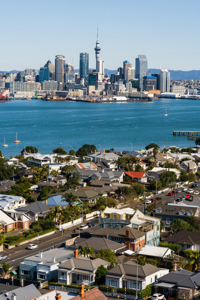 以奥克兰市为背景的房屋俯视图。图片下载