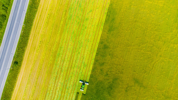 拖拉机mows谷物图片下载