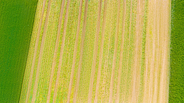 视野的高角度视图图片下载