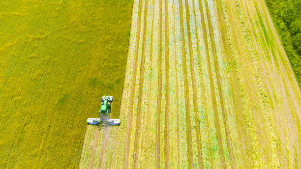 拖拉机mows谷物图片下载